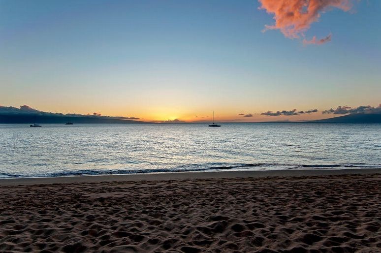 View of the blue horizon from a beach in maui