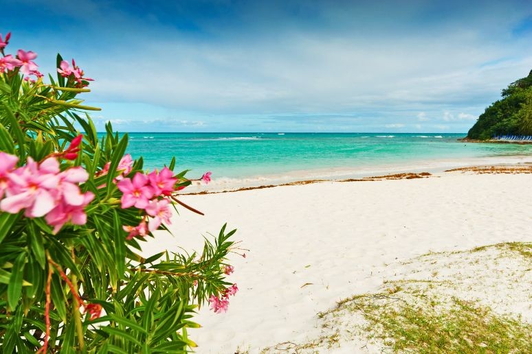 Long Bay Beach Antigua