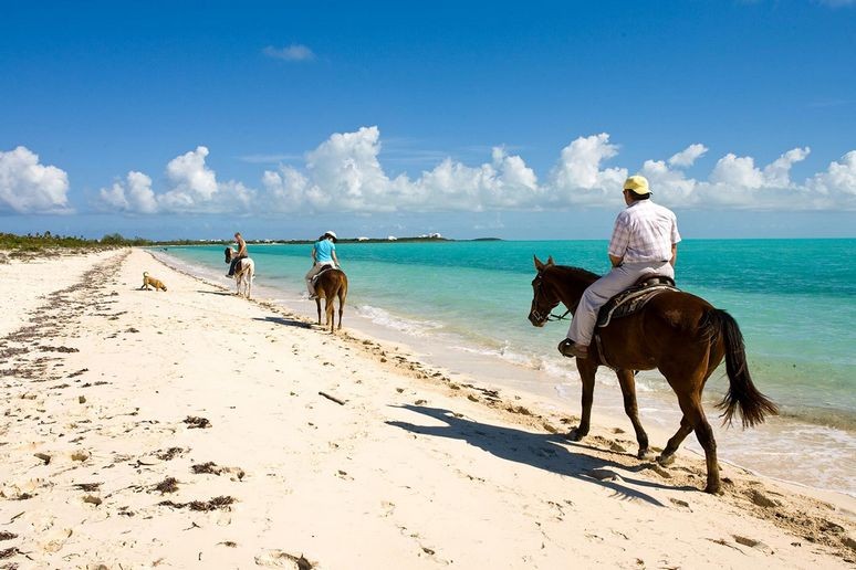 A family take a pony trek along grace bay beach