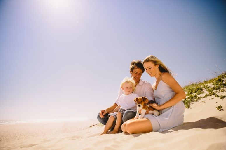 A couple on the beach with their child and pet