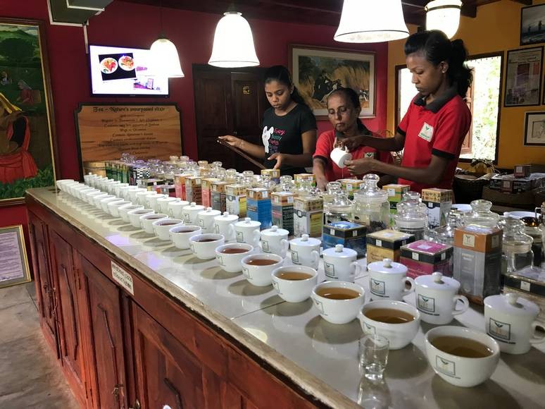 A tea tasting in Sri Lanka