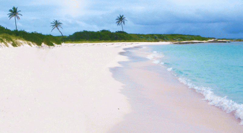 Junk's Hole beach at the East of Anguilla is a beautiful location for you luxury vacation