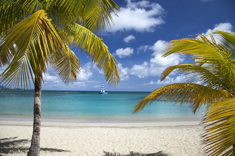 A Sail boat hoves into view from the horizon towards the pale golden beach at the US Virgin Islands