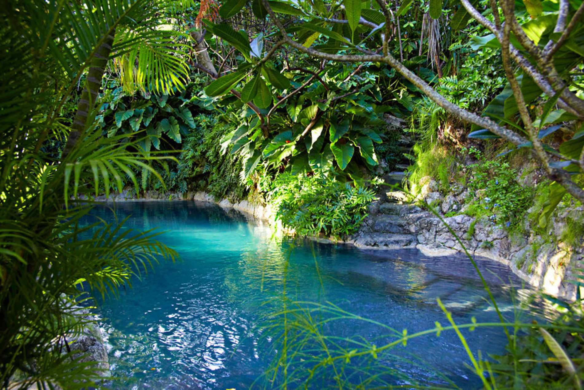 Тропический бассейн