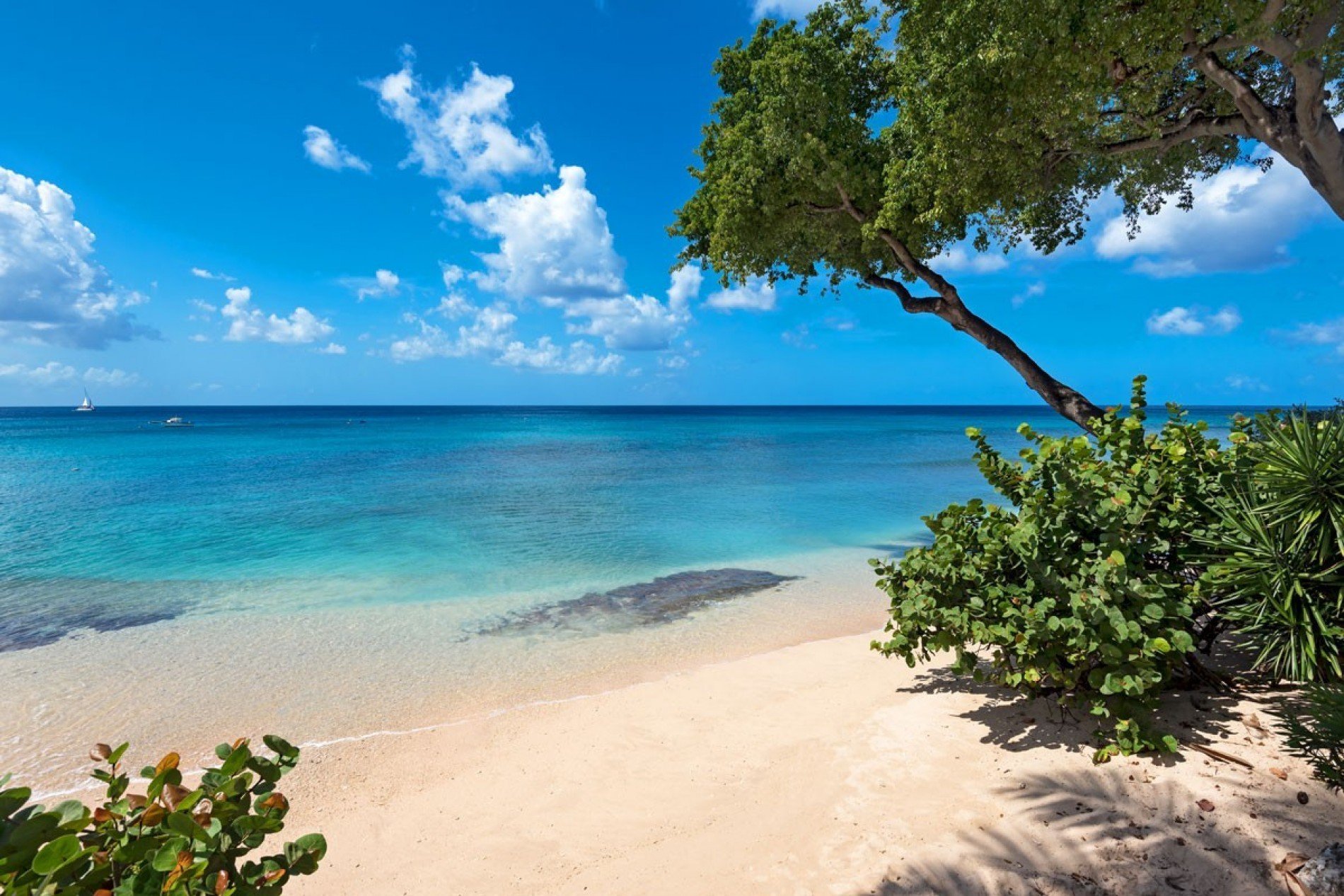 The Devoted Classicist: Heron Bay, Barbados