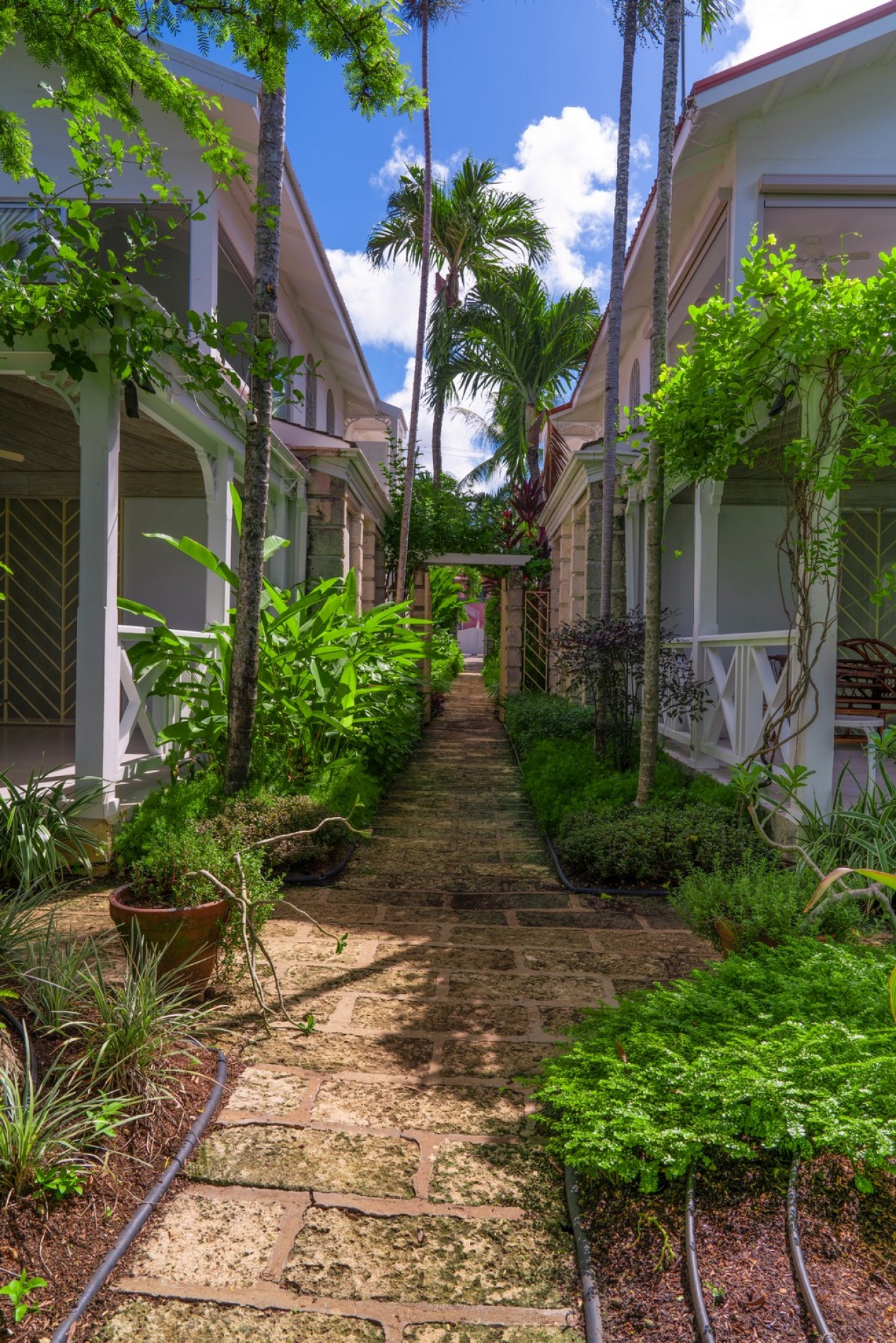 Secret Cove 2 | St James Barbados | Barbados Villas