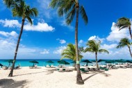 Glitter Bay 207