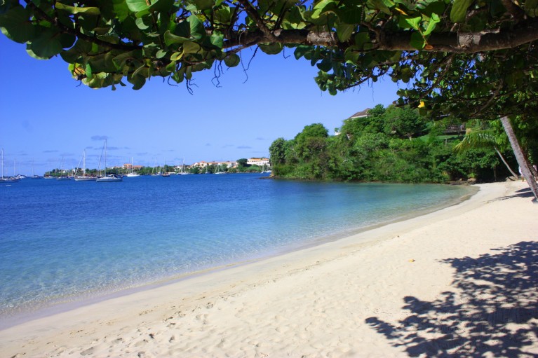 Pool Suite - Calabash, Grenada