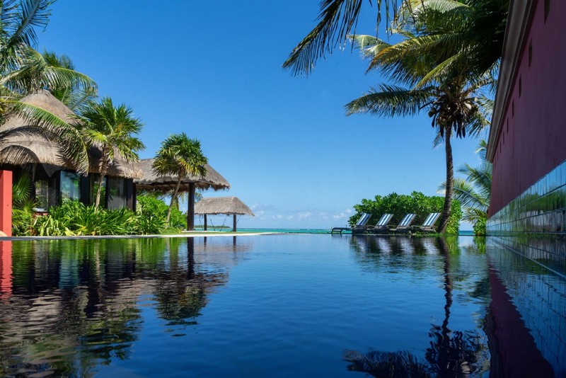 view of the pool and terrace with palm trees and a blue sky