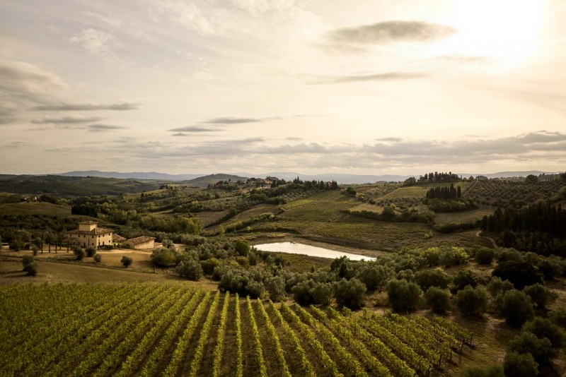 Villa San Luigi | Tuscany Villas | Luxury Villa Rentals