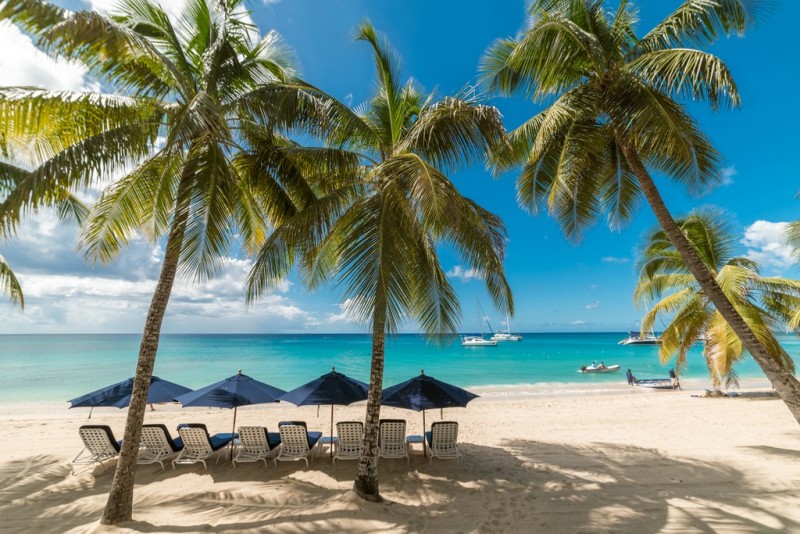Tropical beach setting with palm trees and lounge chairs.