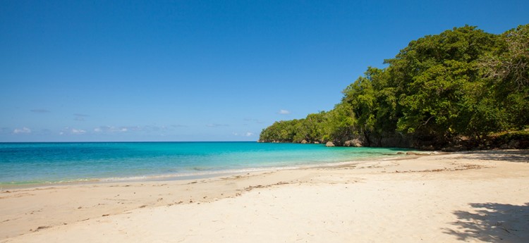 Frankfort on the Beach in Jamaica - Beach
