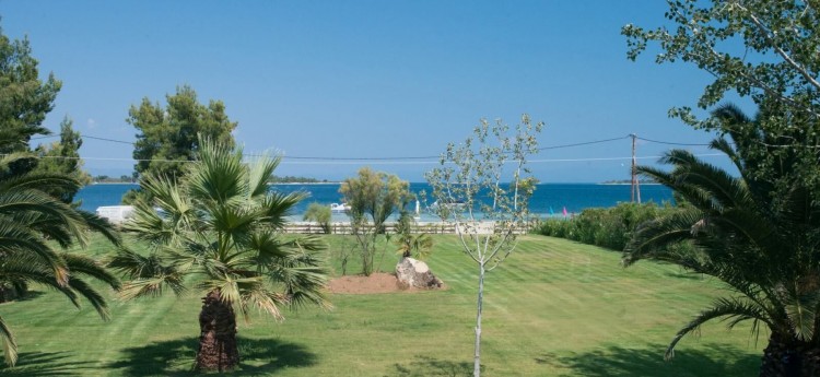 Large lawn at Palm Garden