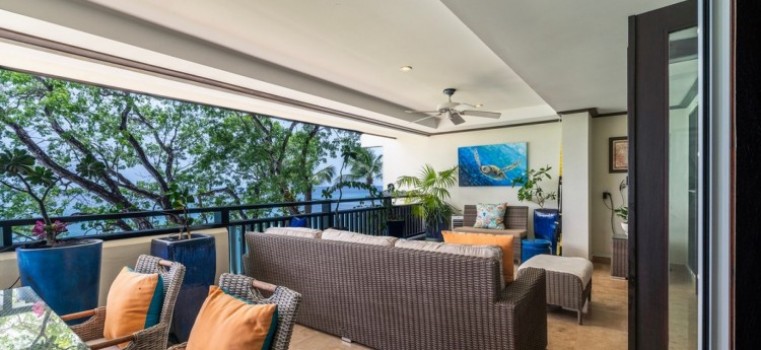 Coral Cove 10