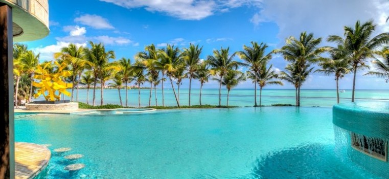 Blue Oasis